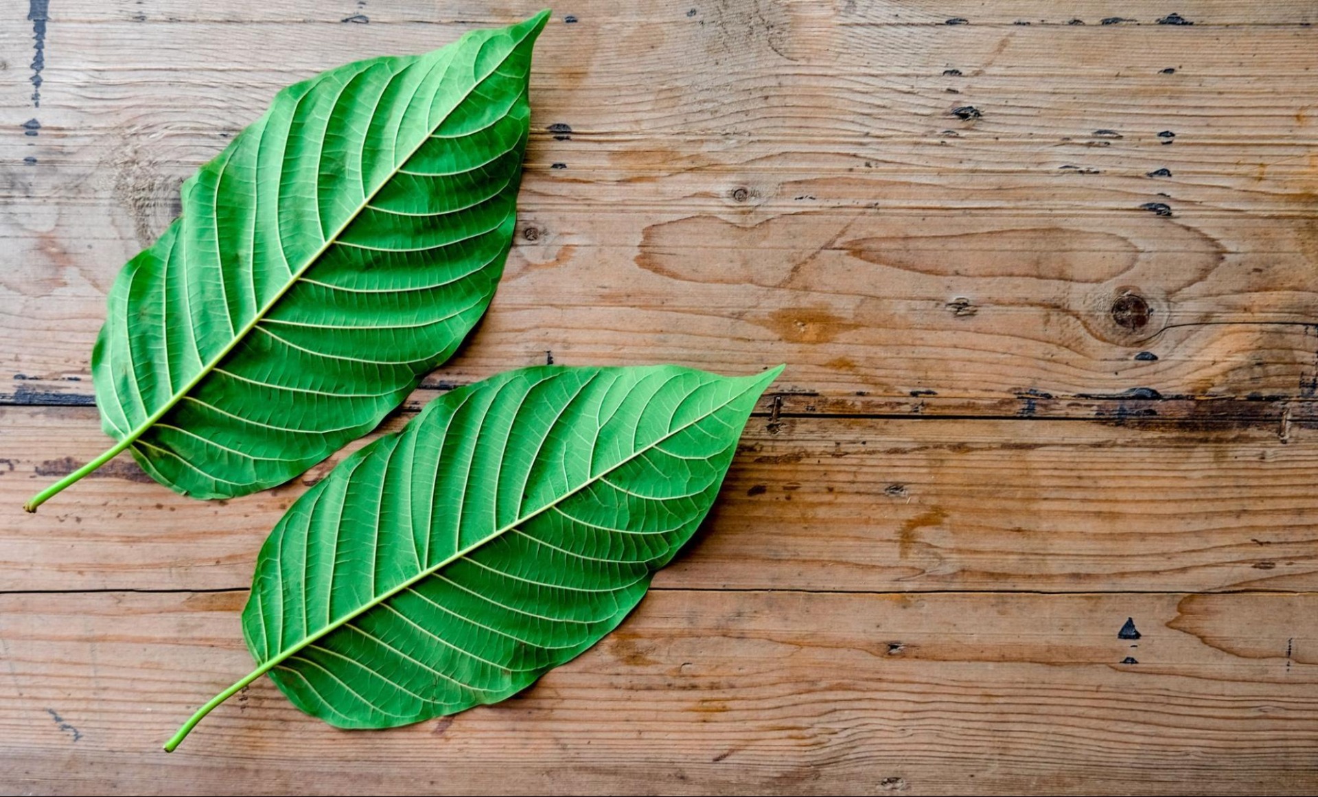 What are the nutritional benefits of kratom