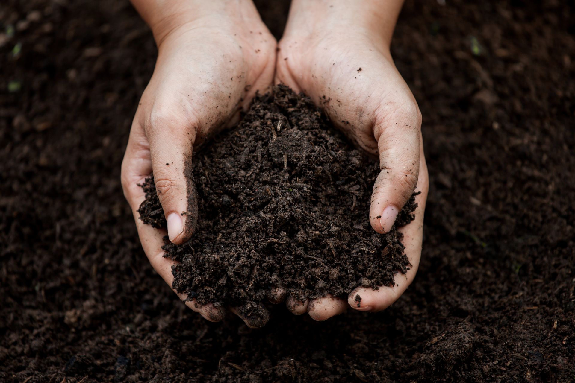 soil for growing kratom