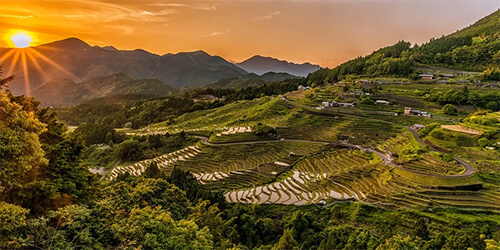 Rice terraces at sunset.